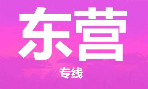 石家莊到東營(yíng)物流公司-普通貨物運(yùn)輸專線「服務(wù)周到」
