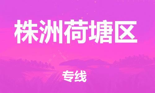 邯鄲到株洲荷塘區(qū)物流公司-物流專線快速直達(dá)-機(jī)動性高